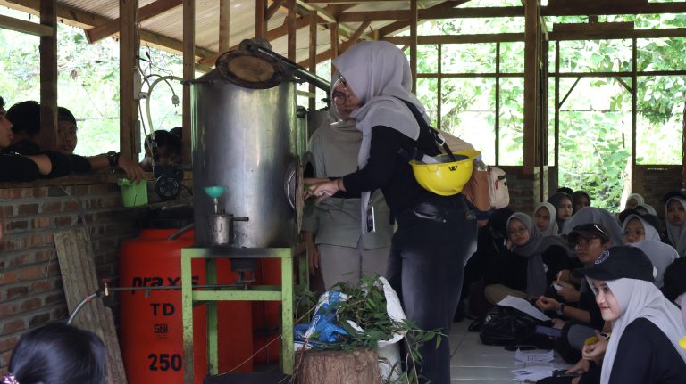 praktek-penyulingan-minyak-kayu-putih-768x431