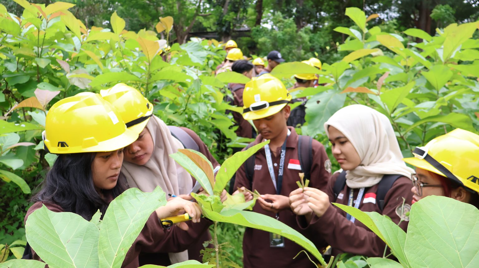 praktik-perbanyakan-tanaman-dengan-metode-stek-pucuk-1536x862