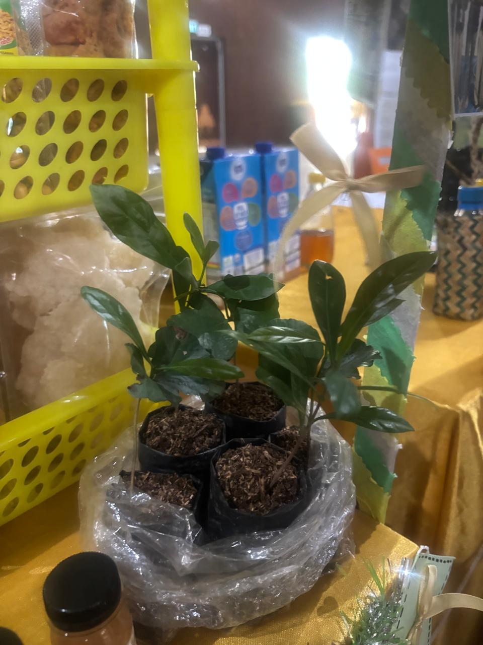 WhatsApp Image 2025-09-09 at 14.18.29 (2)